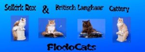 Flodo Cats