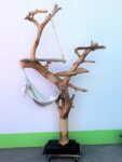 Kratzbaum Erneuerung Vorher